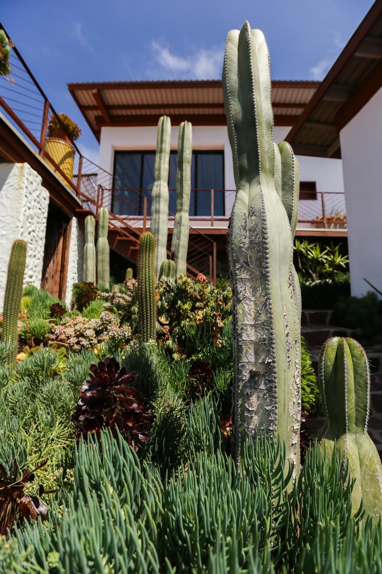 Native Residence Rosarito Dış mekan fotoğraf